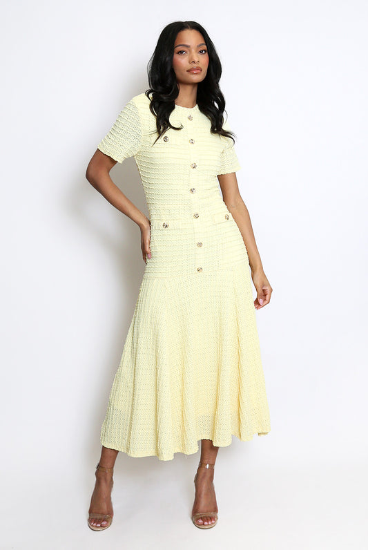 Classic Swing Midi Dress With Button Detail