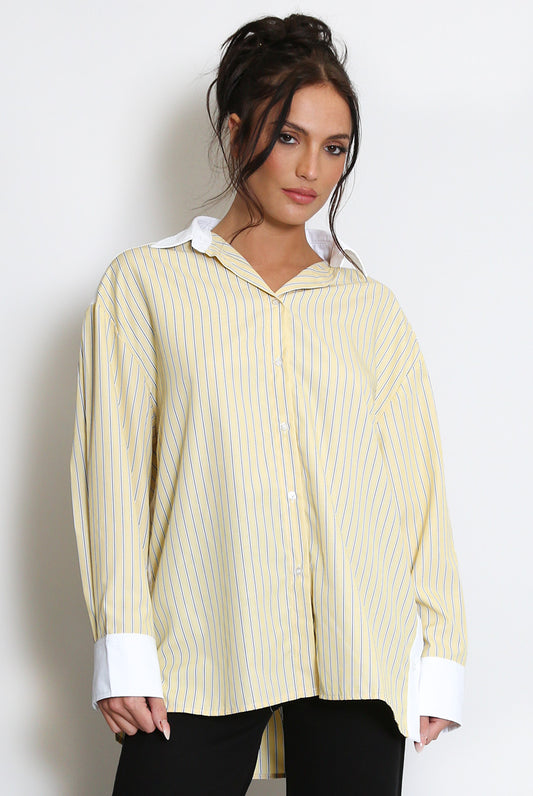 Striped Contrast Paneled Shirt